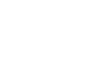 logo-truly-design-alpha-300x222.png